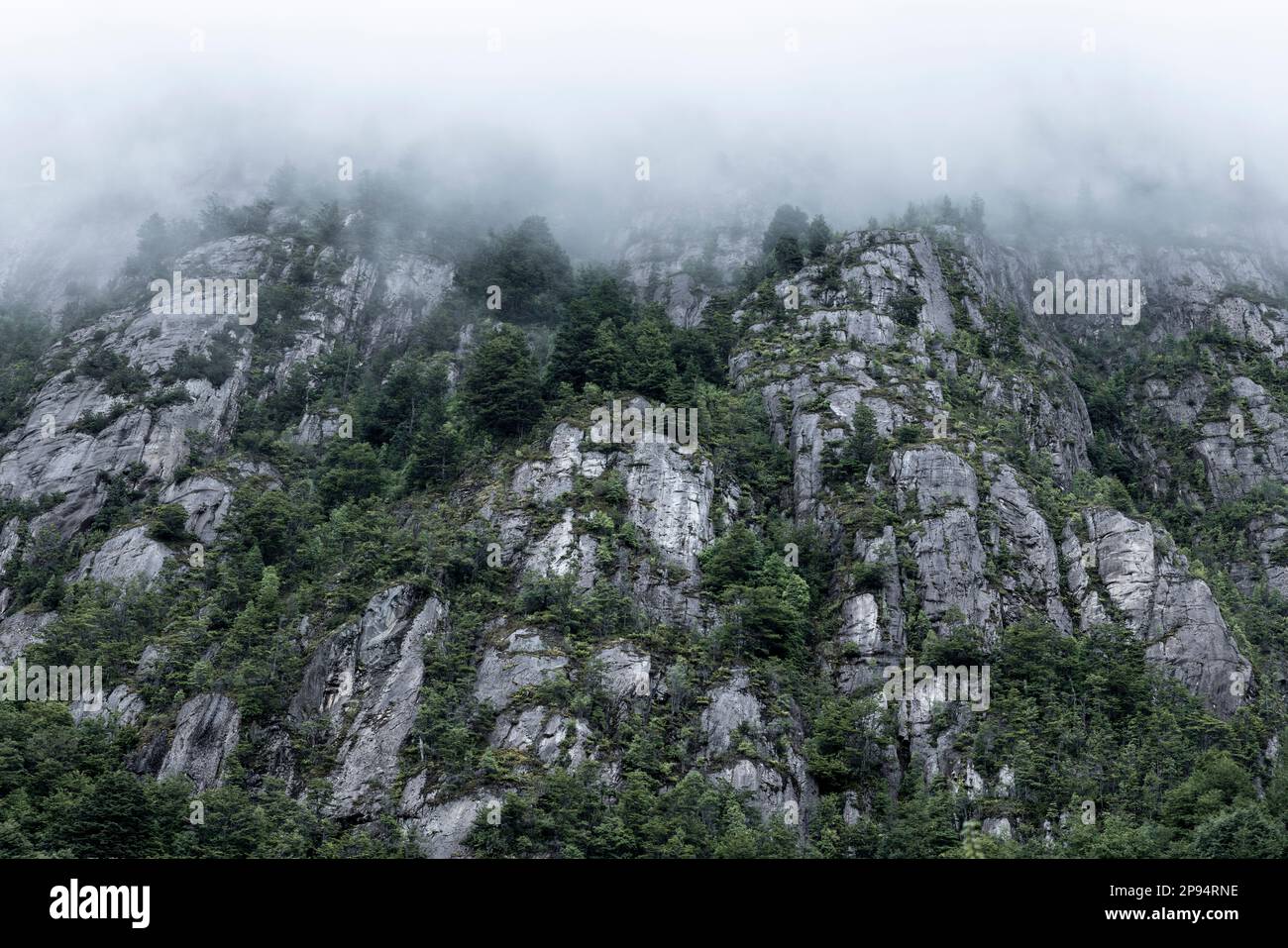 Tortel Landscape between Caleta Yungay and Tortel - traveling the Carretera ...