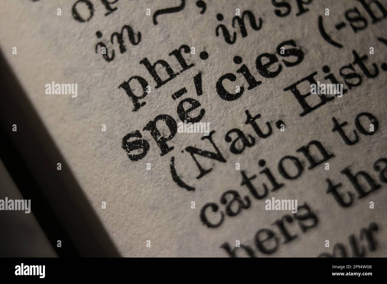 Definition of word species on dictionary page, closeup Stock Photo Alamy