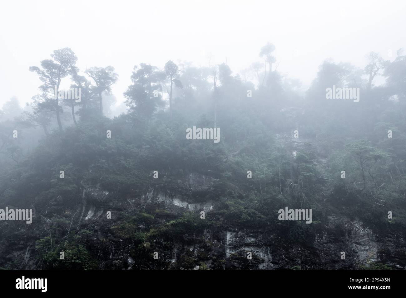 Tortel Landscape between Caleta Yungay and Tortel - traveling the Carretera ...