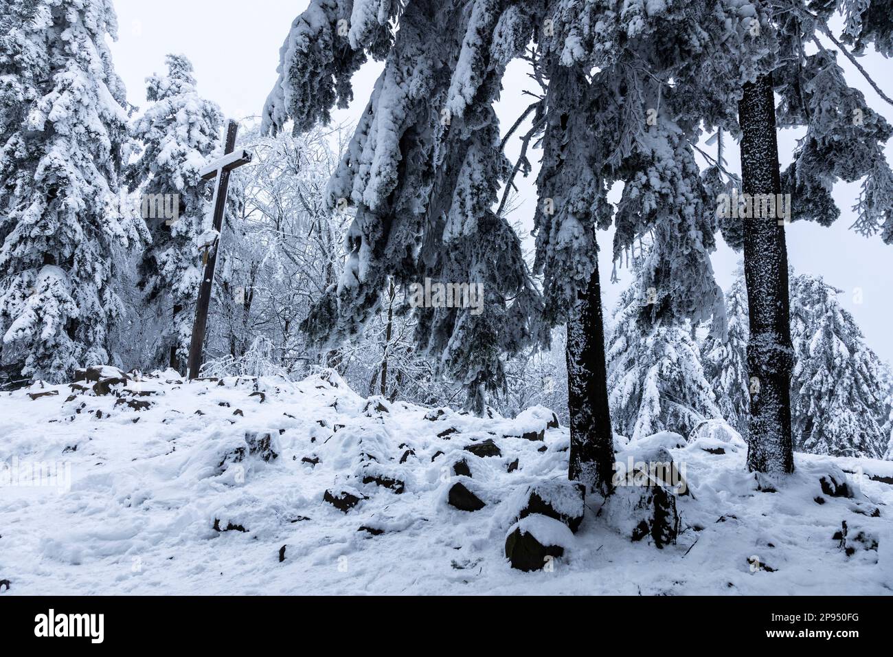 Europe, Poland, Swietokrzyskie, Swietokrzyski National Park - Lysica Stock Photo