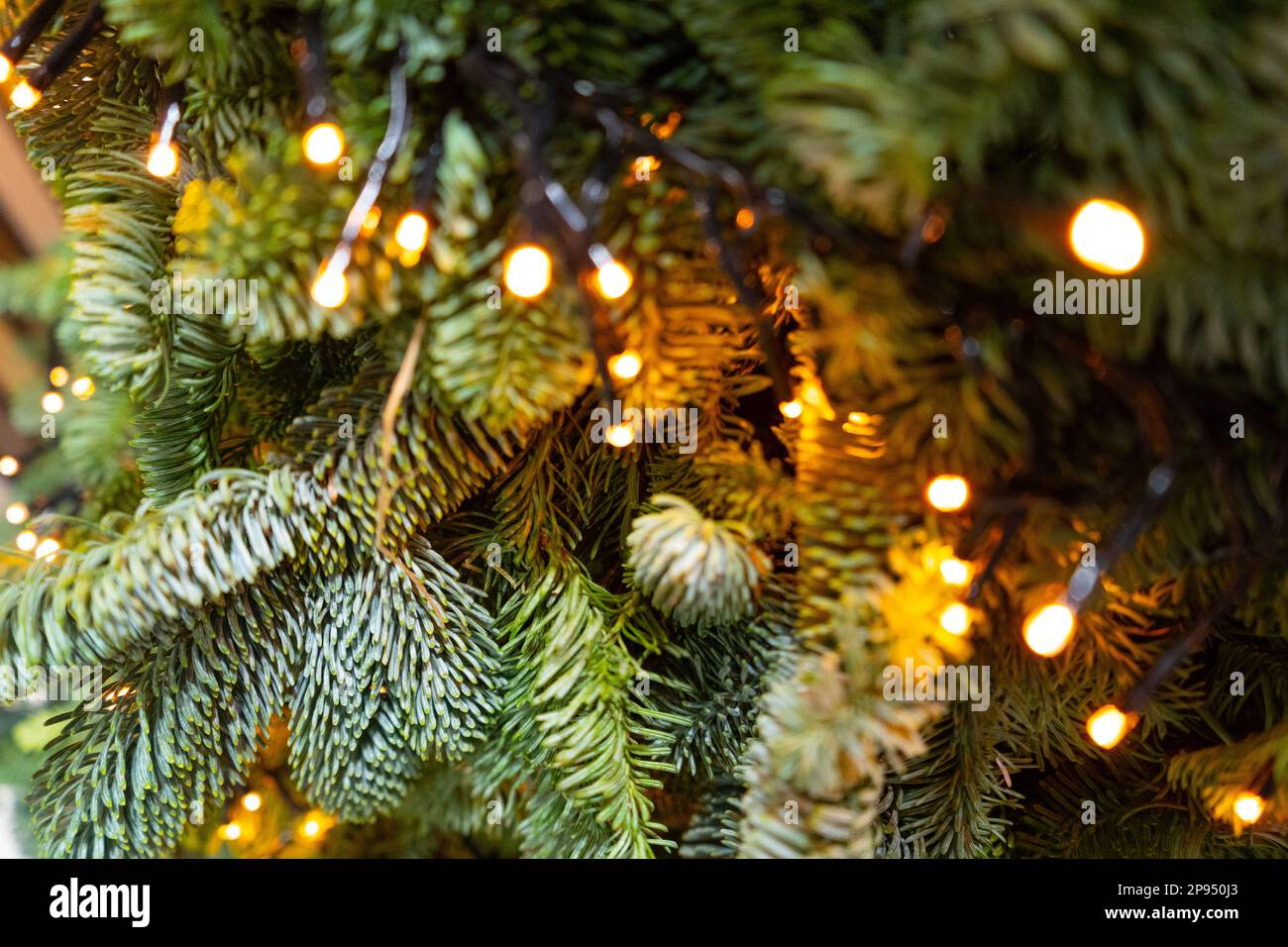 Decorated Christmas Tree, Golden Christmas Decorations, Shiny Garland on Green Branches, Blurred Xmas Background with Copy Space Stock Photo