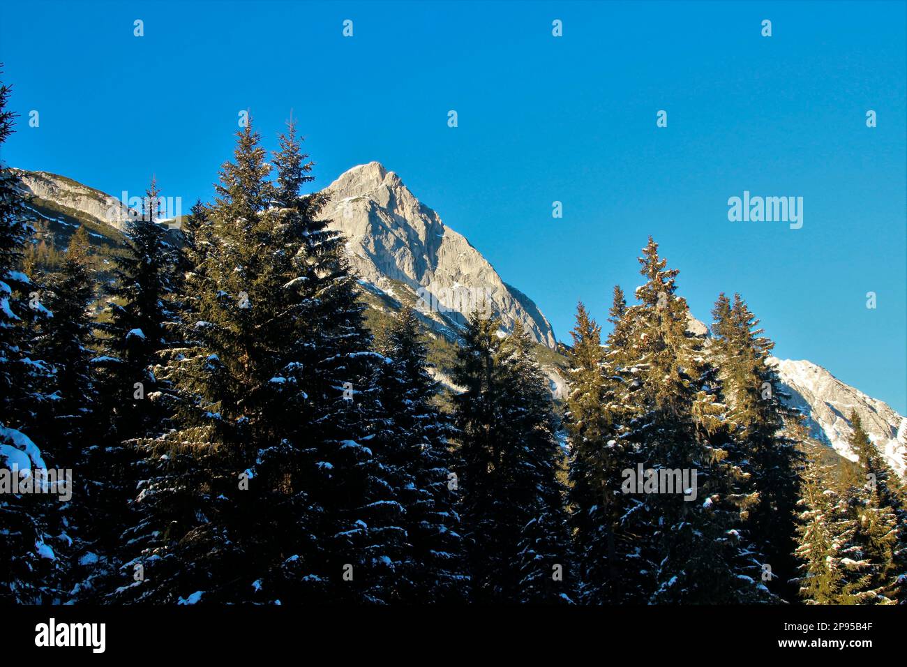 Evening hike on the toboggan run Hoher Sattel, view to Arnspitze