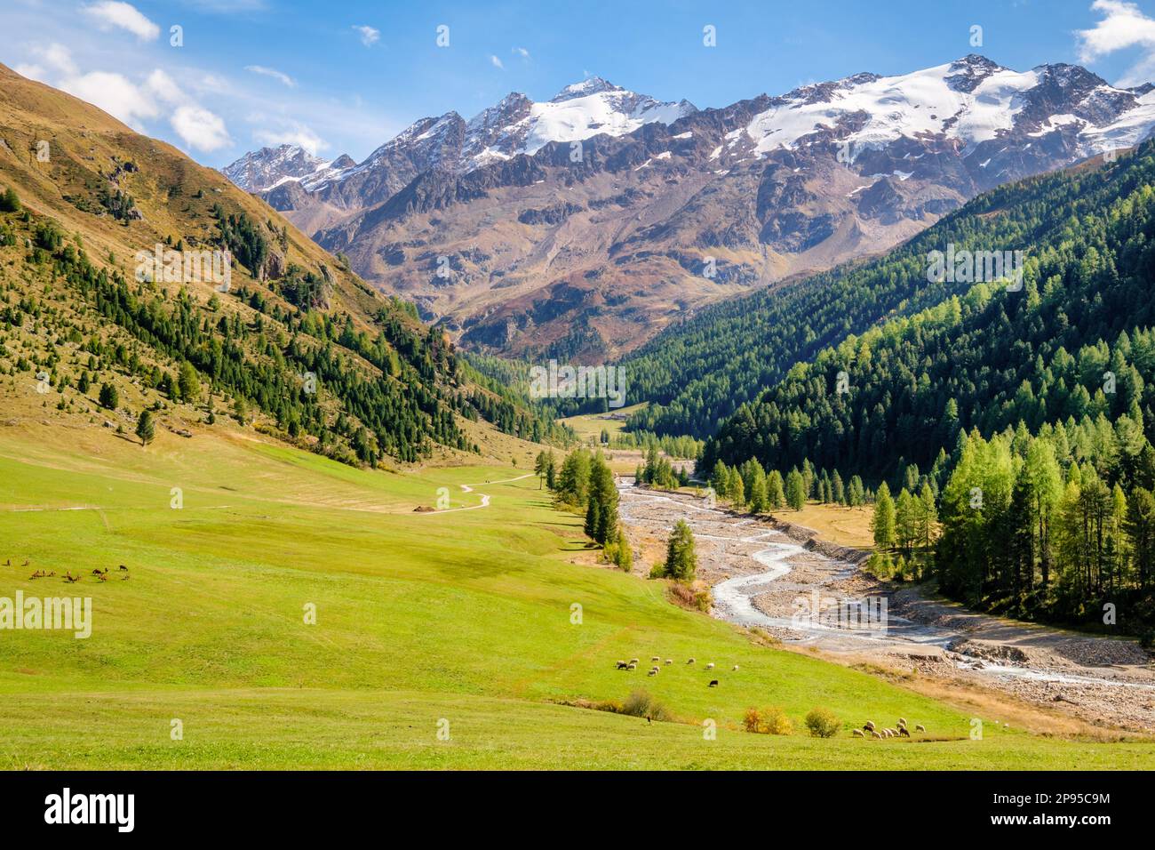 A September day in Vallelunga (or: Langtaufers), a valley in South Tyrol, Italy. It is a side valley of the Venosta (or Vinschgau) valley. Stock Photo