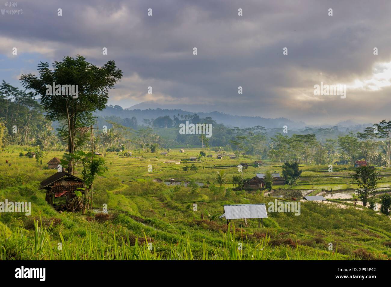 Bali and its beautiful rice terraces, landscape shot and spectacular ...