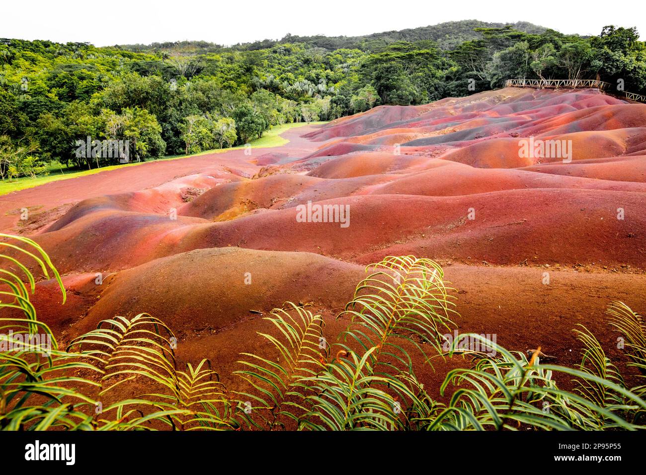 Seven Colored Earth at Chamarel Seven Colored Earth Geopark, Black River. Mauritius sunset Stock Seven Colored Earth at Chamarel Seven Colored Earth Geopark, Black River. Mauritius sunset Stock