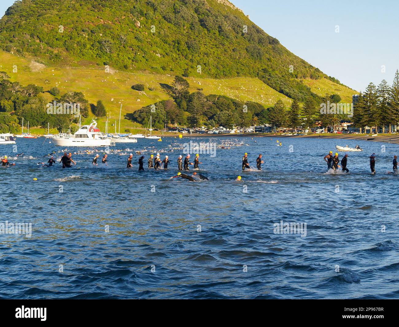 Tauranga New Zealand January 8 2011; Competitors in Swim section in