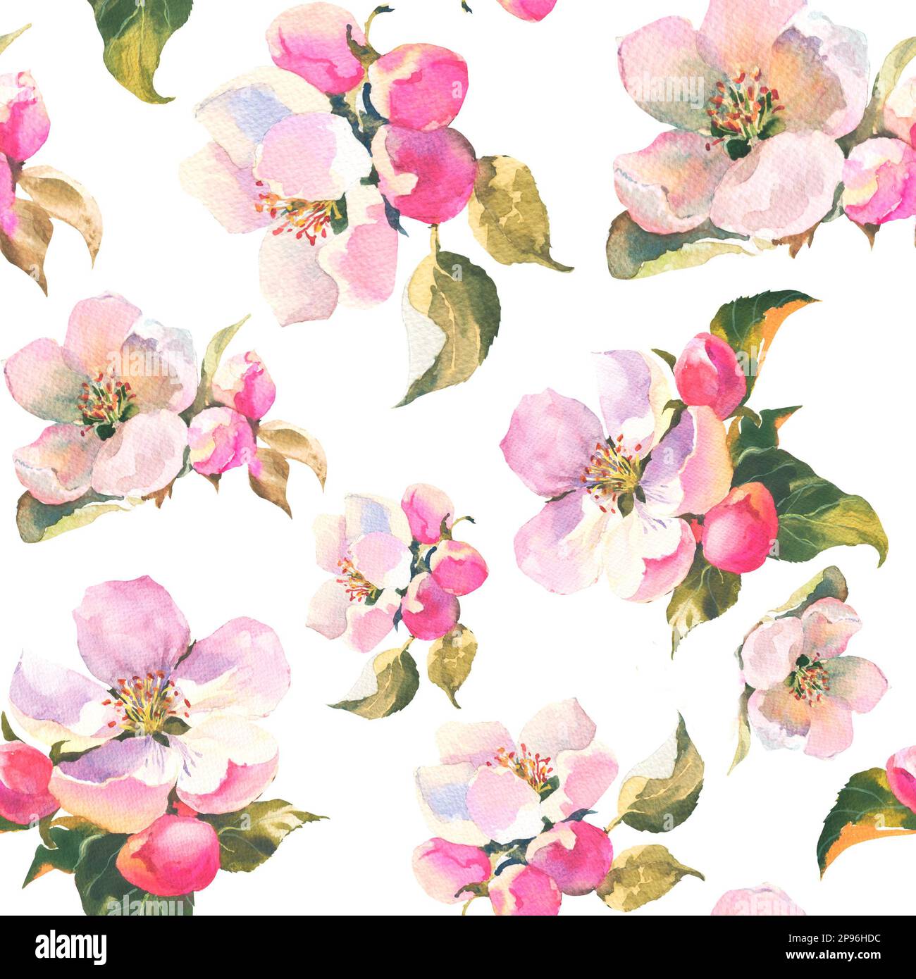 Seamless pattern with watercolor illustrations of apple flowers. It's perfect for wallpaper, fabric design, textile design, cover, wrapping paper, sur Stock Photo