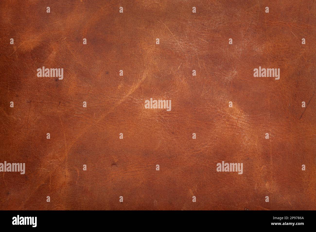 Brown leather texture background from a pair of chaps Stock Photo