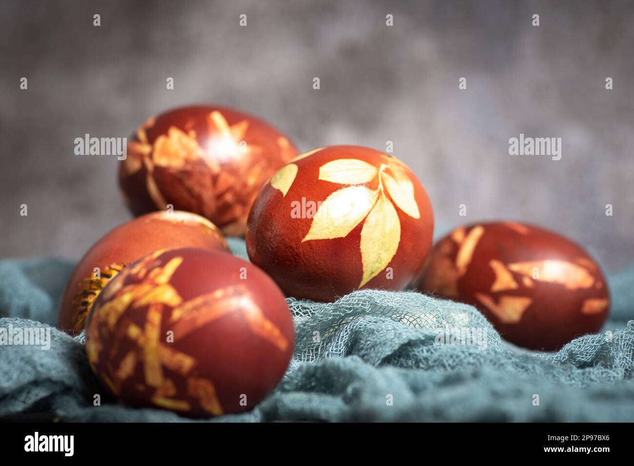 Dyed Easter eggs painted with natural dye onion on gray background. Natural ecological staining with food coloring. Top view. Stock Photo