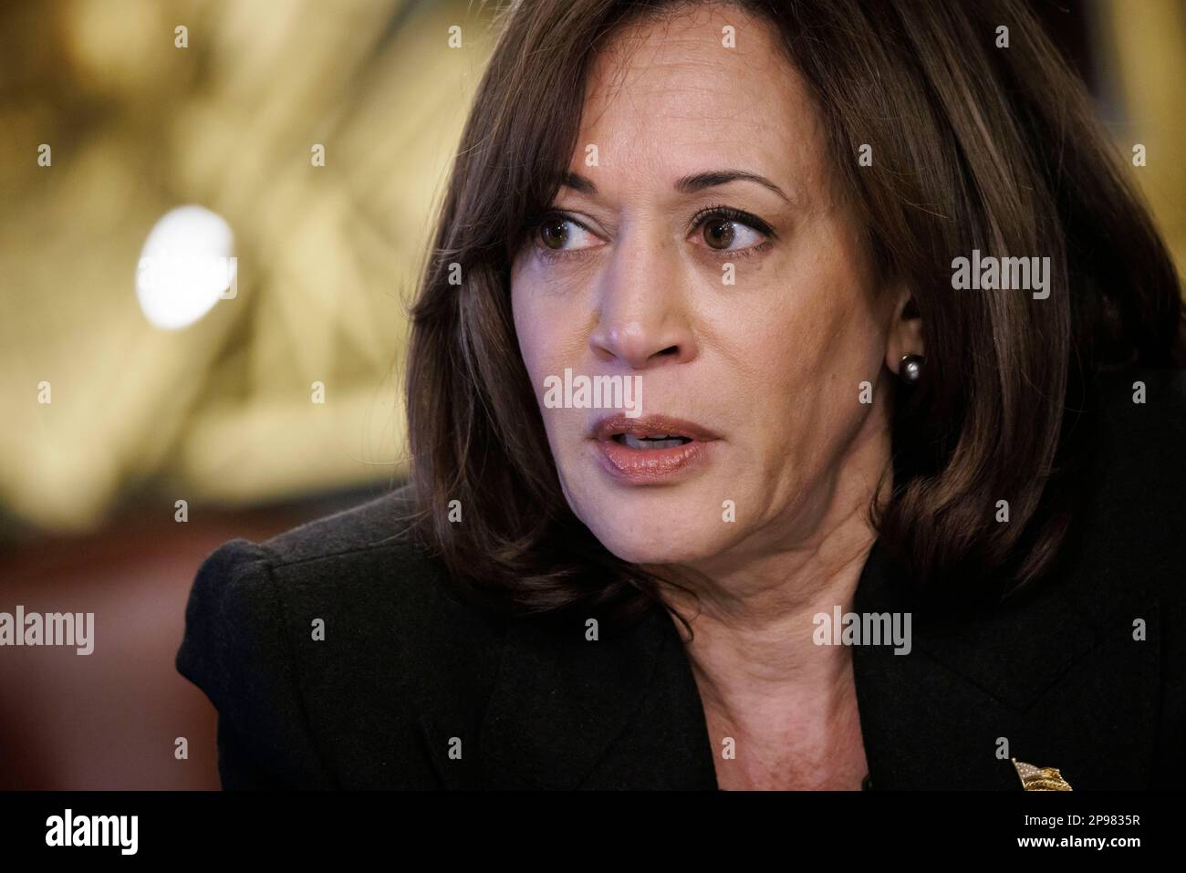 United States Vice President Kamala Harris speaks during a roundtable