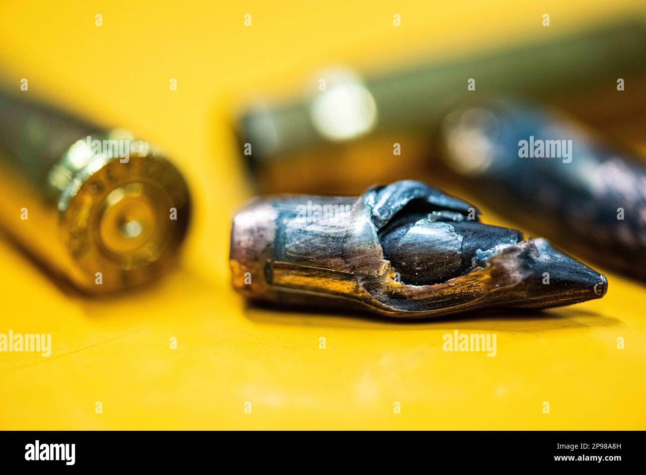 Illustration picture shows used ammunition in a ballistics laboratory
