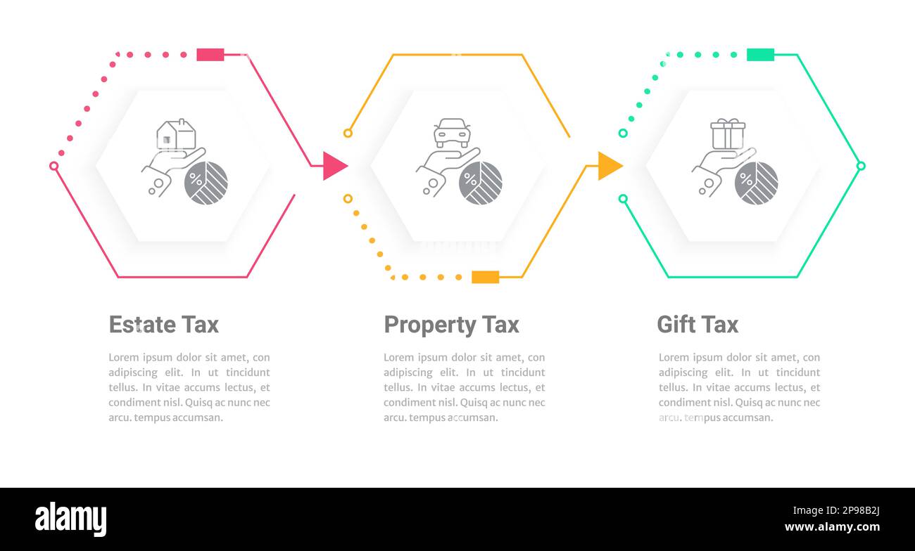 Personal tax types infographic chart design template Stock Vector Image