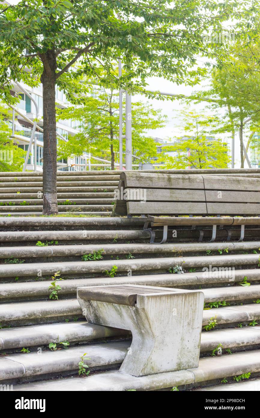 Bench and seating steps under trees invite you to linger in the shade. The steps have patina and the furniture looks old and worn. A green rooCherry Stock Photo