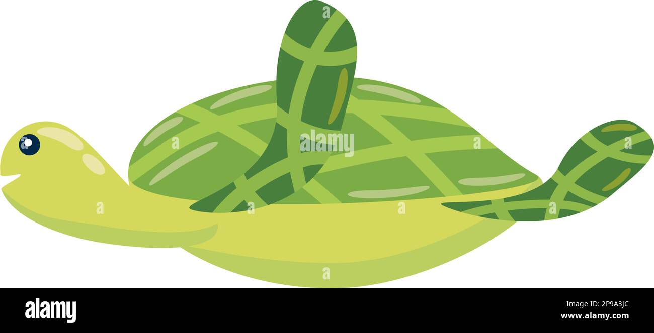 turtle aquatic animal Stock Vector Image & Art - Alamy