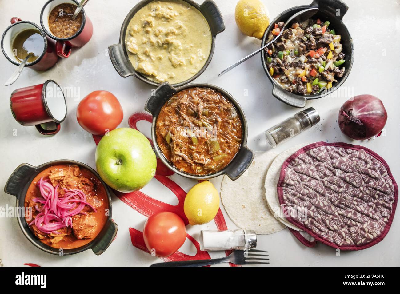 Mexican food recipe set with cochinita pibil stew, beef alamabre, lots