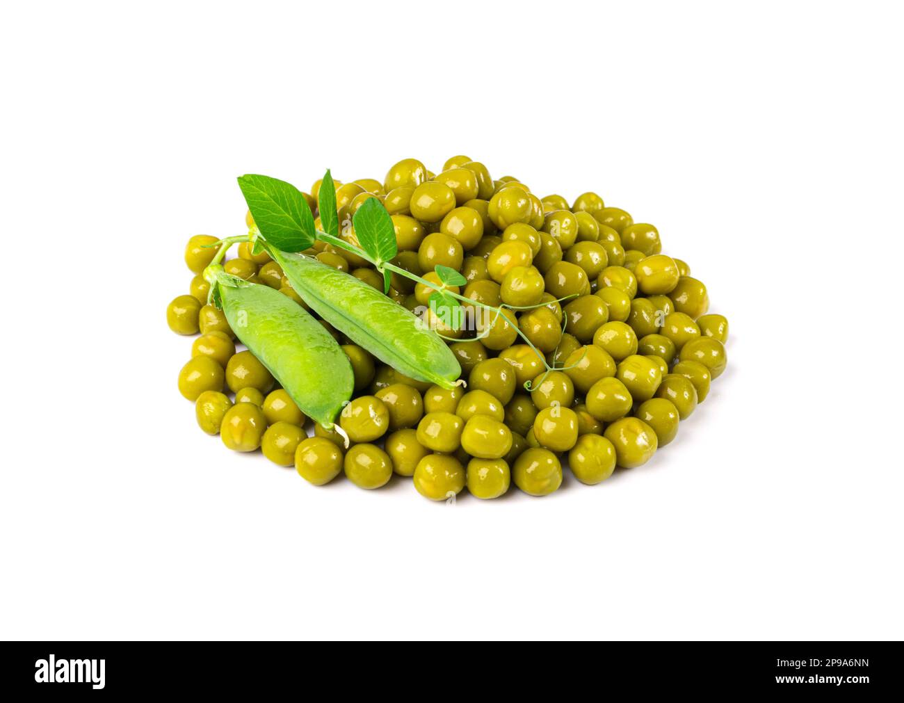 Canned Green Peas Isolated, Sweet Pea Pile, Cooked Legume, Protein