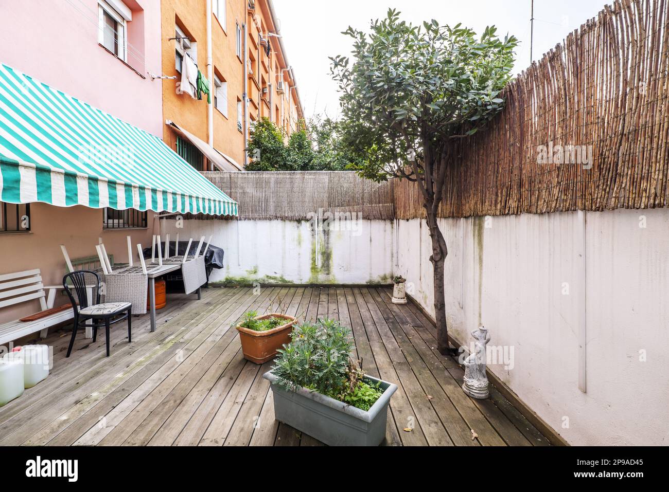 Terrace patio of a house on the ground floor with some plants and