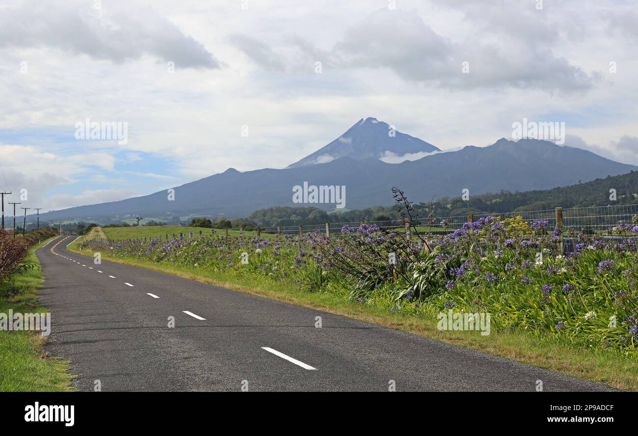 The road, flowers and volcano - Taranaki - New Zealand Stock Photo