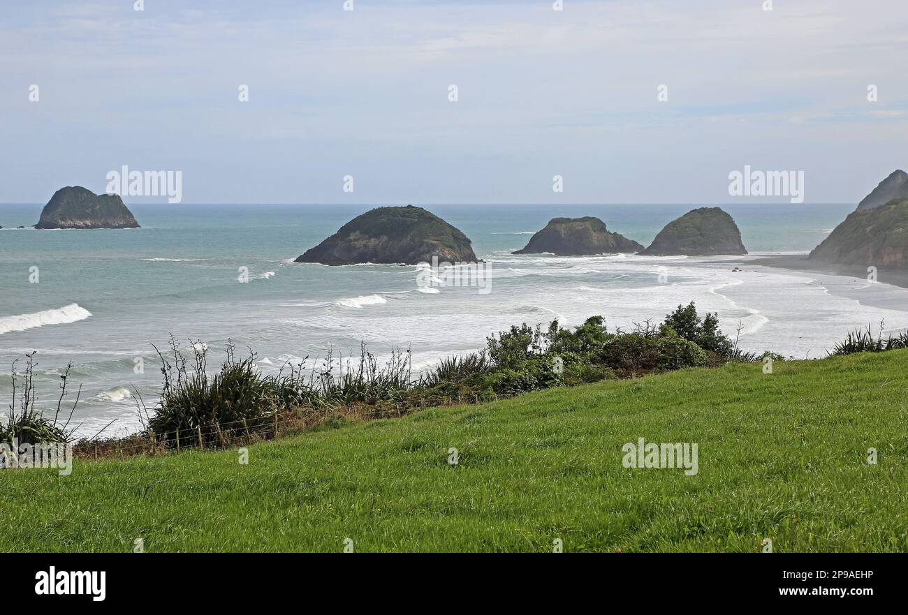 Sugar Loaf Island - New Zealand Stock Photo - Alamy