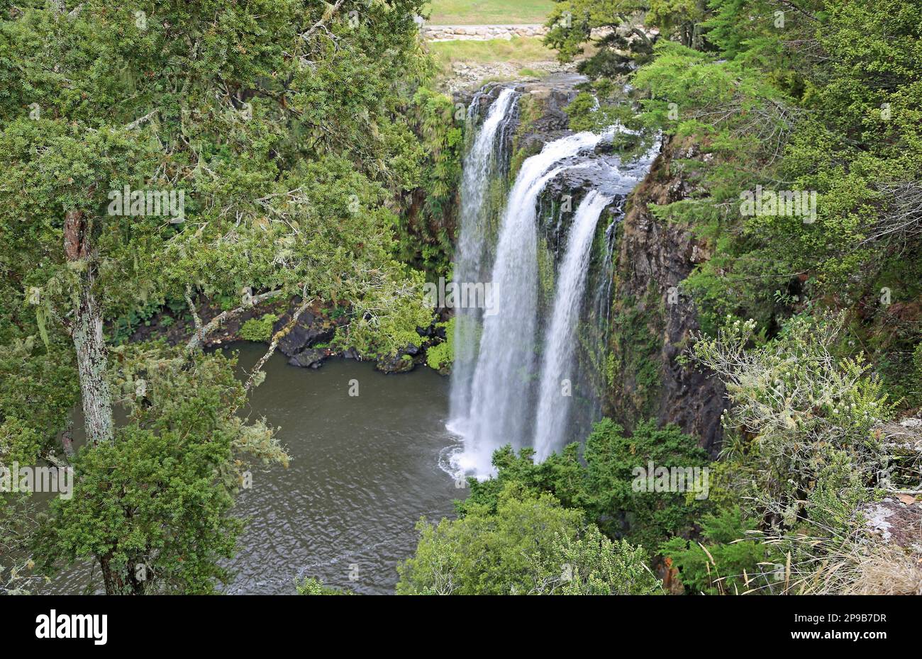A free and Whangarei Falls - New Zealand Stock Photo