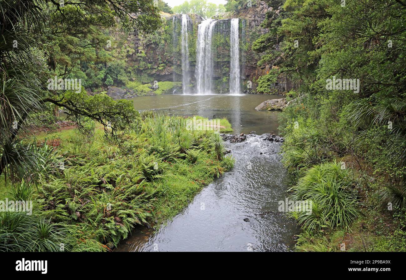 Landscape with Whangarei Falls - New Zealand Stock Photo