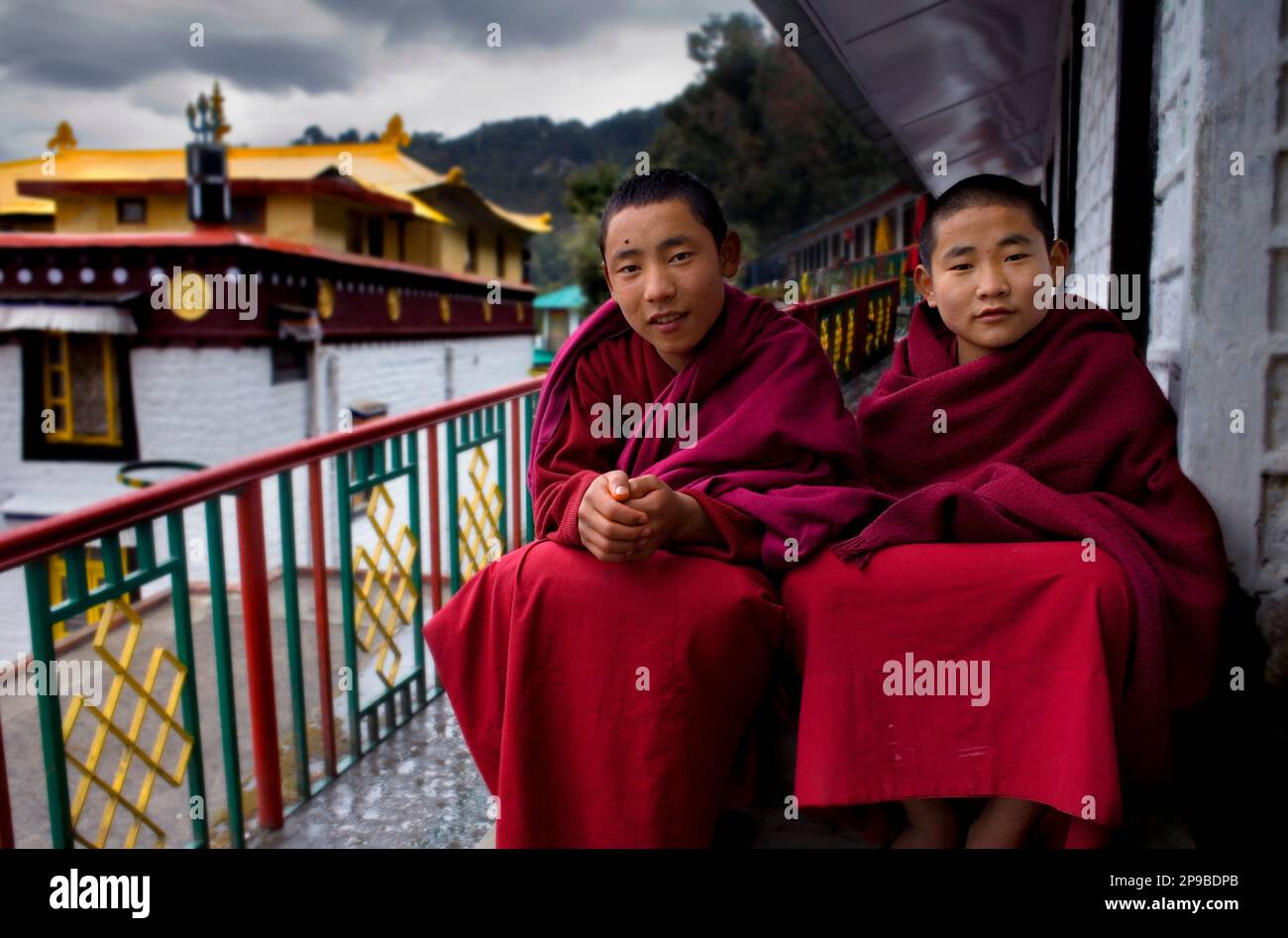 Monks, in Dip Tse Chok Ling Monastery.McLeod Ganj, Dharamsala, Himachal Pradesh state, India, Asia Stock Photo