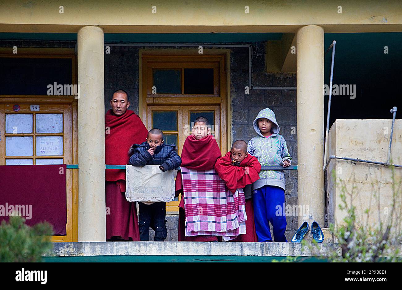 watching a ritual, in Namgyal Monastery, Tsuglagkhang complex. McLeod Ganj, Dharamsala, Himachal Pradesh state, India, Asia Stock Photo
