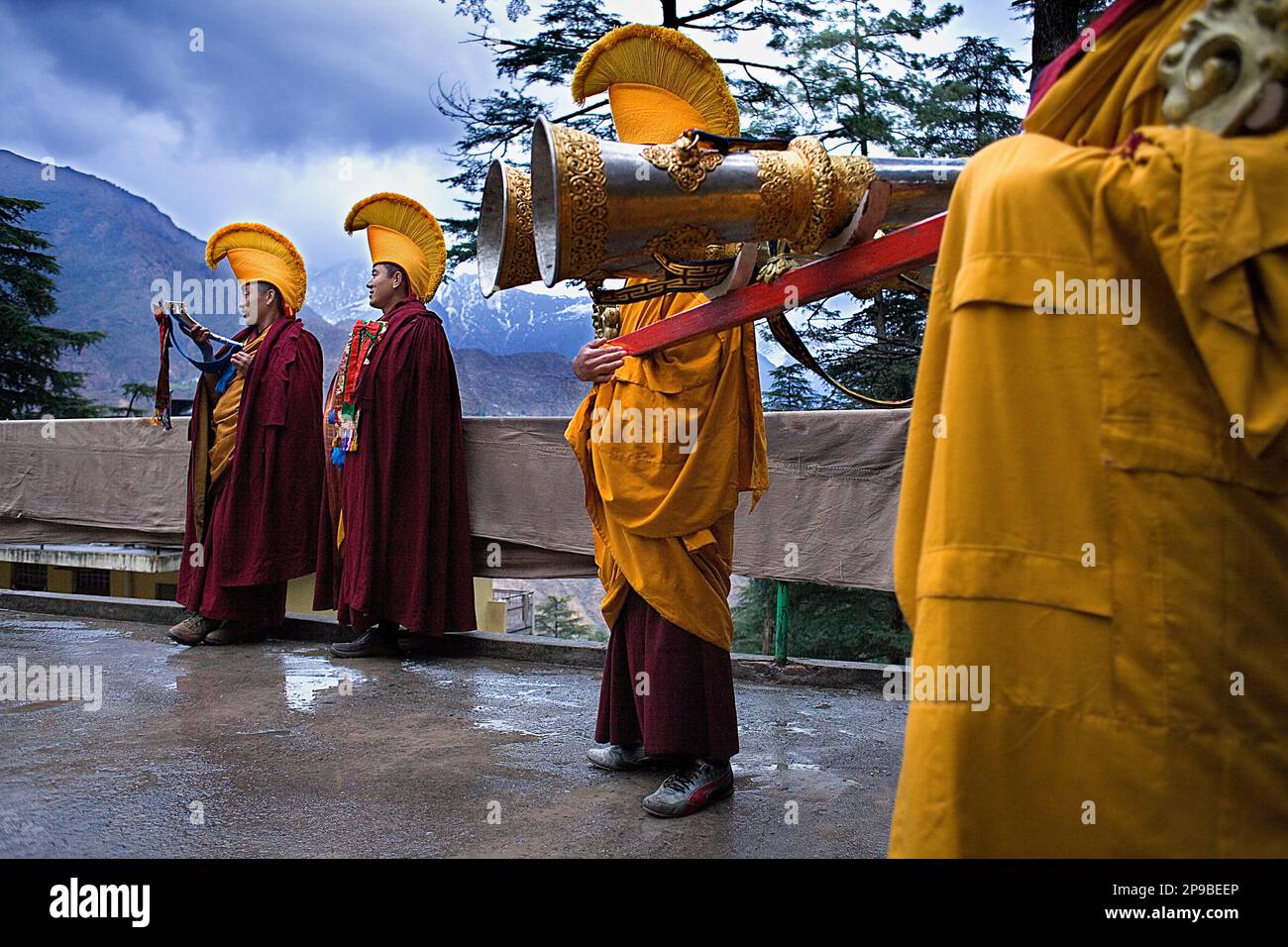 Ritual, in Namgyal Monastery,in Tsuglagkhang complex. McLeod Ganj ...