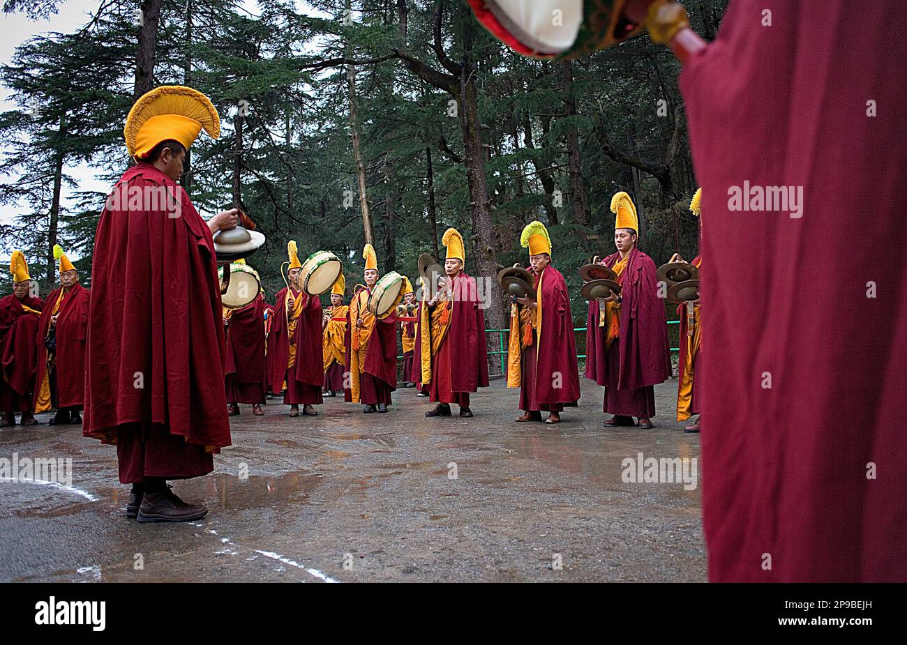 Ritual, in Namgyal Monastery,in Tsuglagkhang complex. McLeod Ganj ...