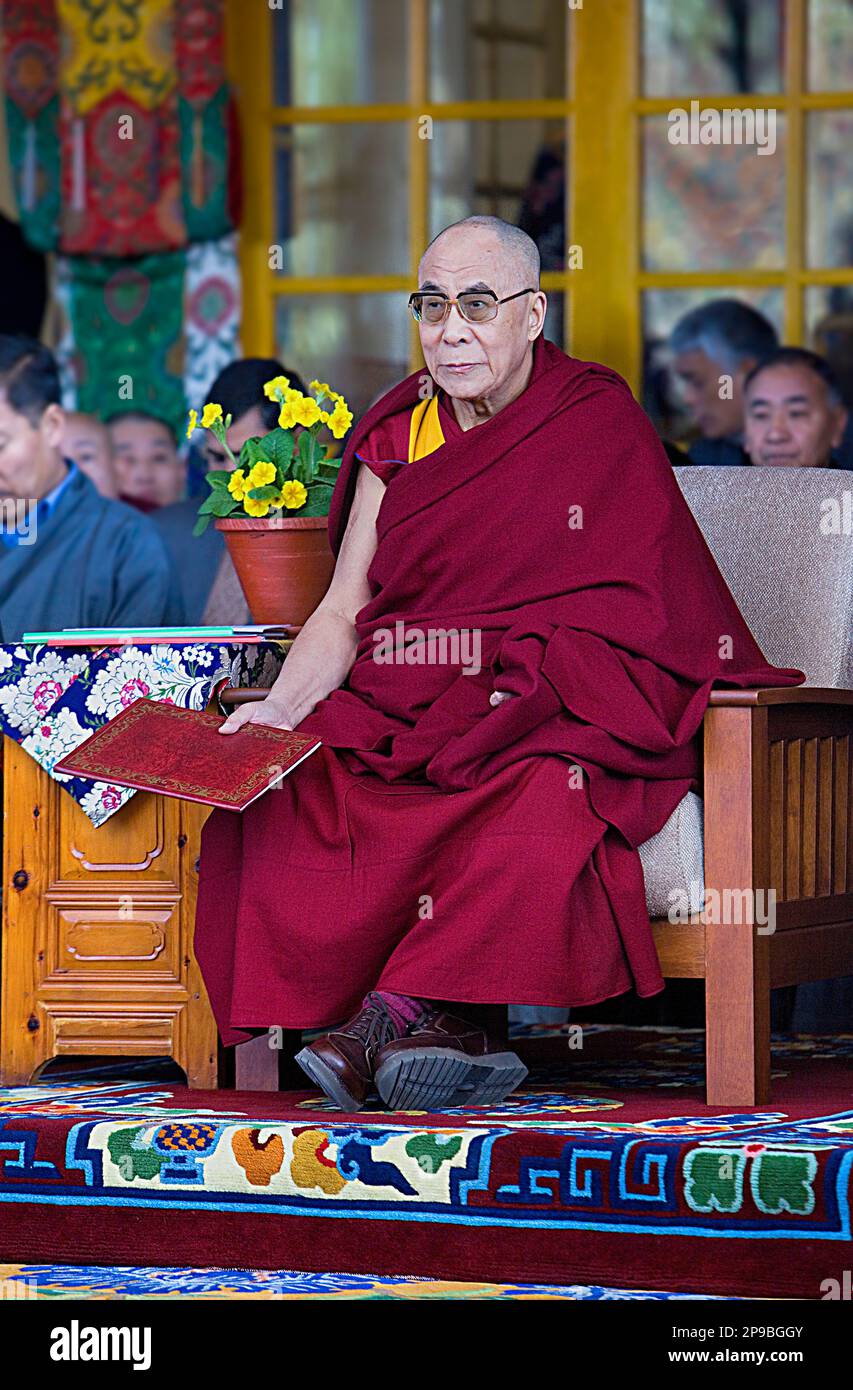 His holiness the Dalai Lama, in Namgyal Monastery,in Tsuglagkhang complex.  McLeod Ganj, Dharamsala, Himachal Pradesh state, India, Asia Stock Photo -  Alamy