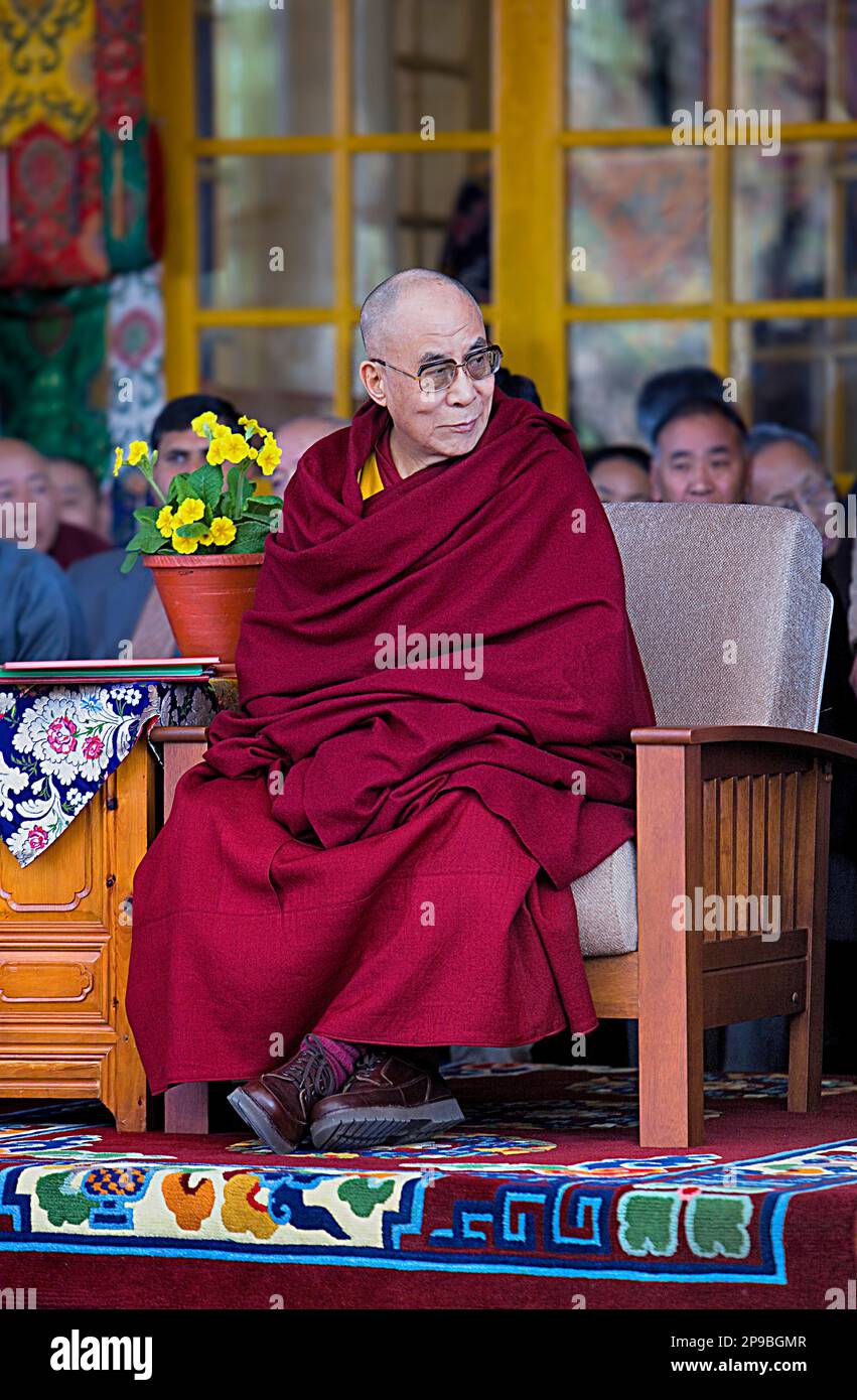 His holiness the Dalai Lama, in Namgyal Monastery,in Tsuglagkhang complex. McLeod Ganj, Dharamsala, Himachal Pradesh state, India, Asia Stock Photo