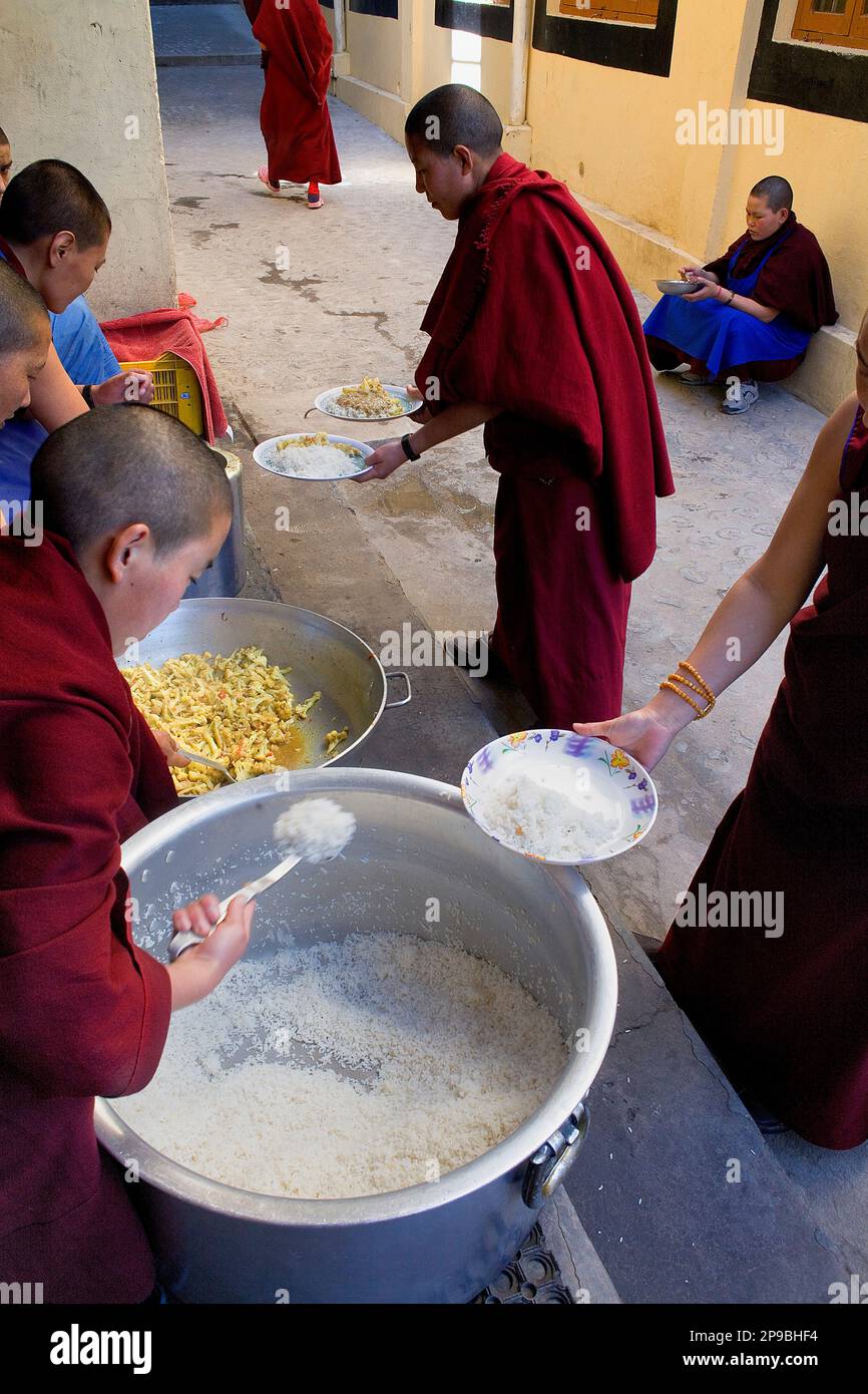 Nuns.Lunch.Geden Choeling Nunnery, McLeod Ganj, Dharamsala, Himachal Pradesh state, India, Asia Stock Photo