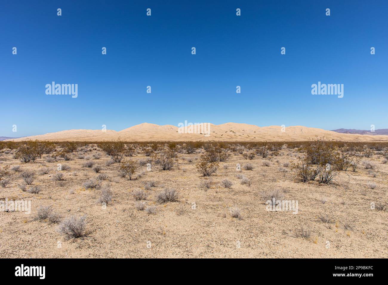 Mojave Desert Sand Dunes Stock Photo Alamy