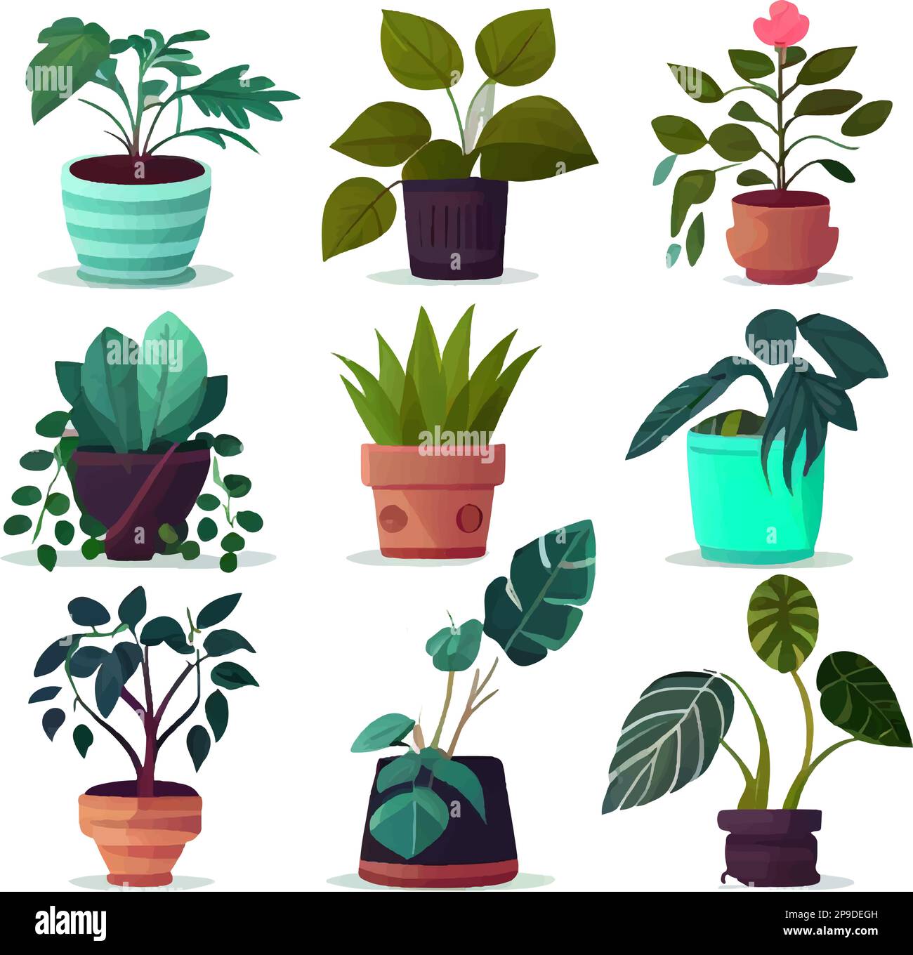set vector illustration of home plant in clay pot isolate on white ...