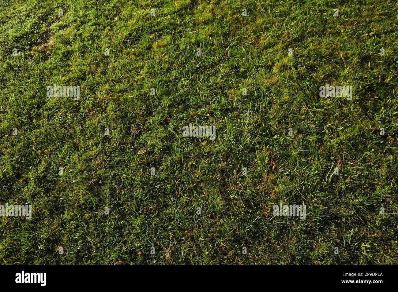 Beautiful bright green grass hi-res stock photography and images - Alamy