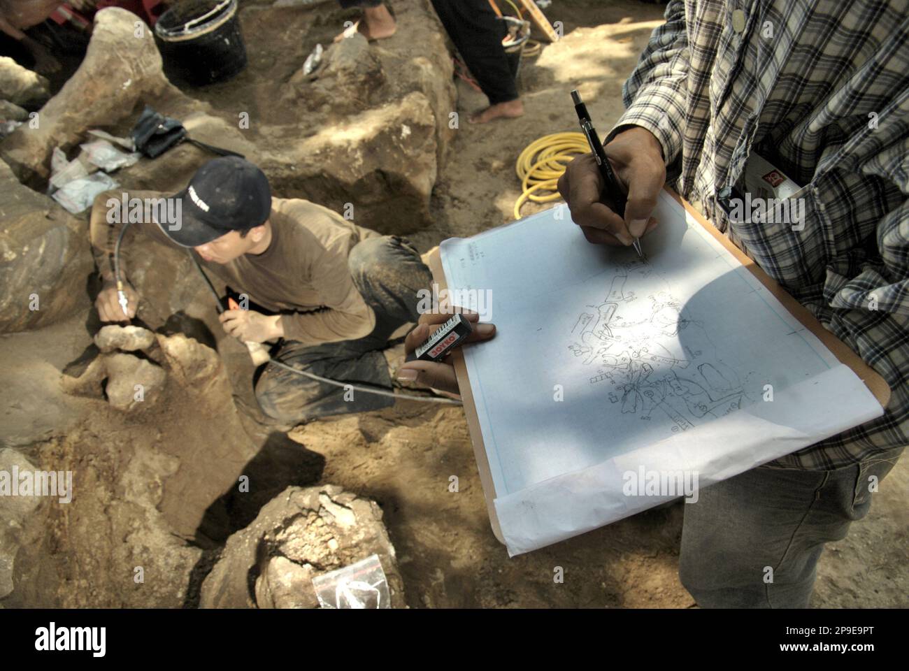 Paleontologist Iwan Kurniawan draws a sketch on paper that shows the locations of the fossilized bones of Elephas hysudrindicus—an extinct elephant species lived during the Pleistocene epoch, which is later known as 'Blora elephant'—as his team is working in the background at the excavation site in Sunggun, Mendalem, Kradenan, Blora, Central Java, Indonesia. The team of Vertebrate Research (Geological Agency, Indonesian Ministry of Energy and Mineral Resources) led by Kurniawan himself with Fachroel Aziz discovered the species' bones almost entirely (around 90 percent complete) that later... Stock Photo