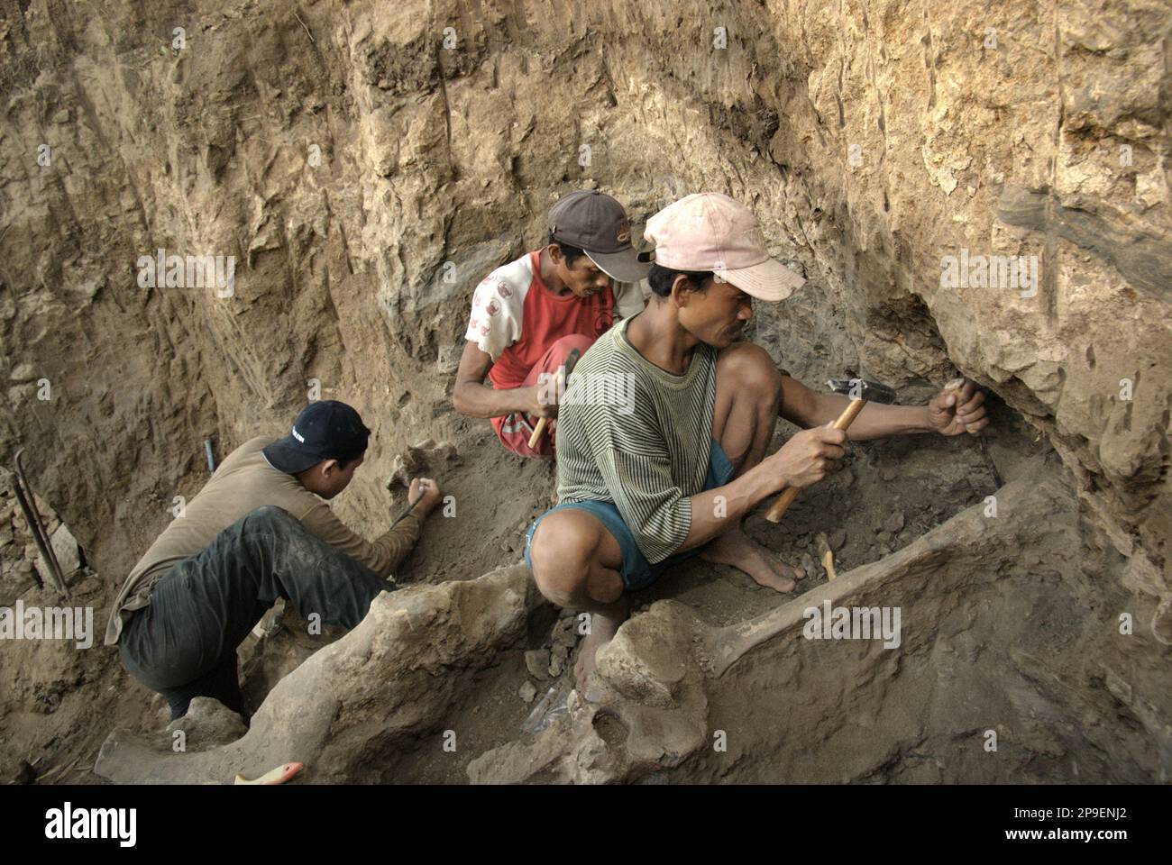 A paleontologist is working with villagers on the excavation of 