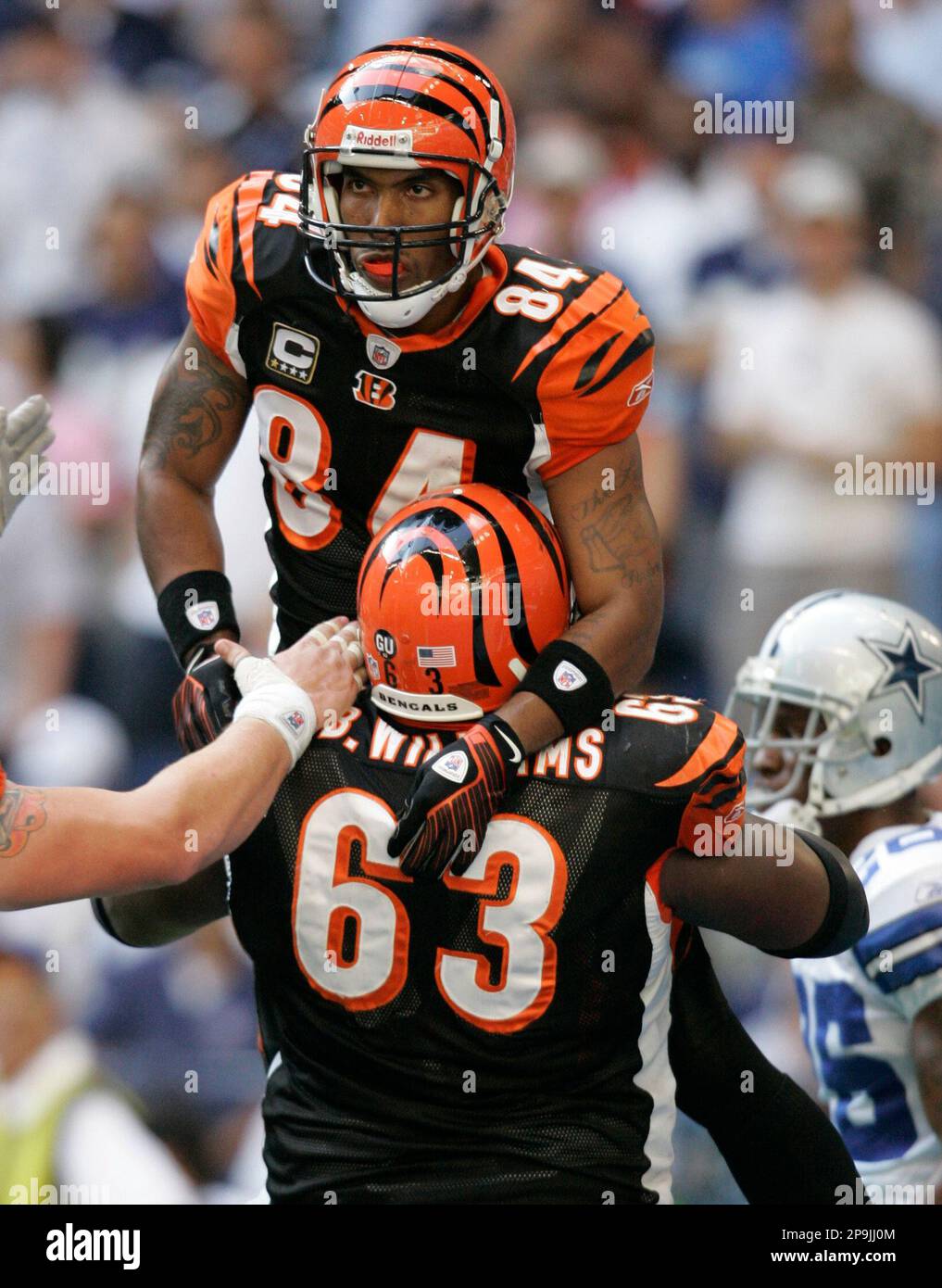 Cincinnati Bengals wide receiver T.J. Houshmandzadeh (84) celebrates his  third-quarter touchdown against the Dallas Cowboys with teammate guard  Bobbie Williams (63) during an NFL football game, Sunday, Oct. 5, 2008, in  Irving,