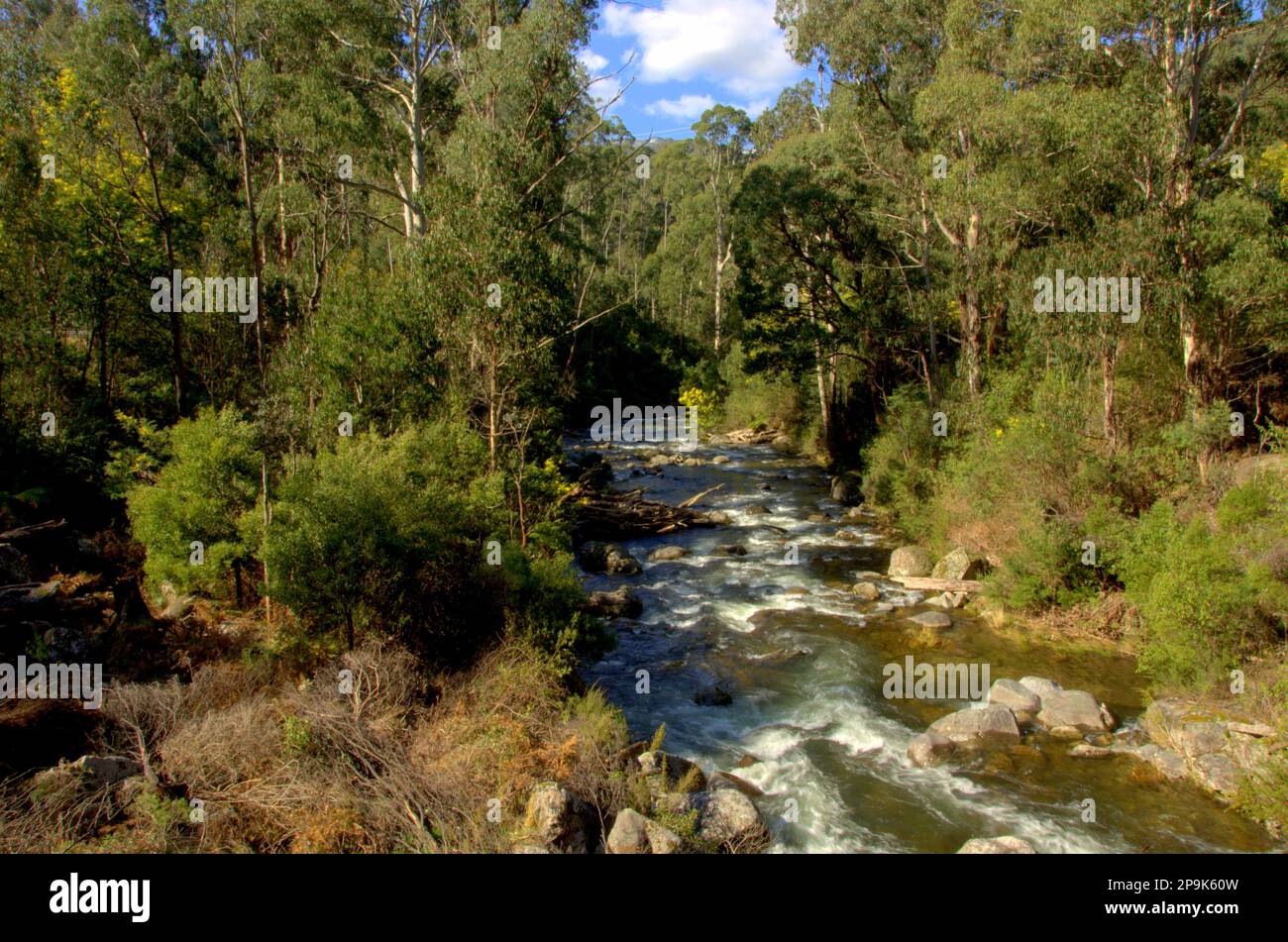 Pretty Valley River, Falls Creek, Victoria, Australia Stock Photo Alamy