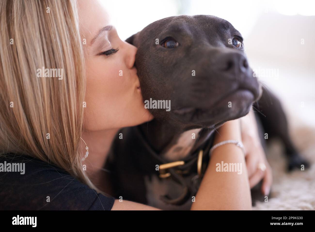 Premium Photo  A little girl kisses and hugs her jack russell terrier dog  in the park love between the owner and the dog a child is holding a dog in  his