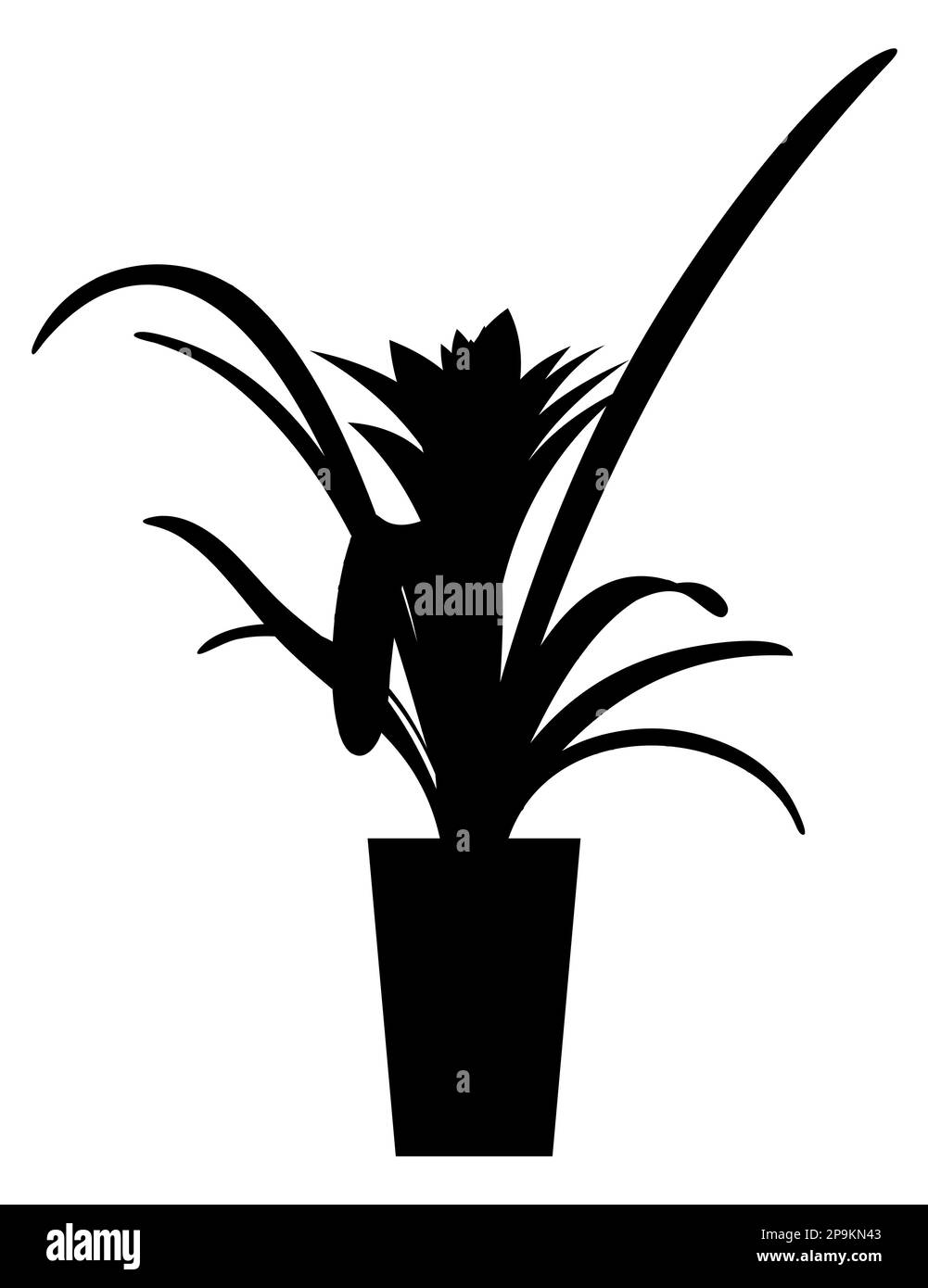 Black silhouette of a House plant Bromeliad Guzmania vector art illustration Stock Vector