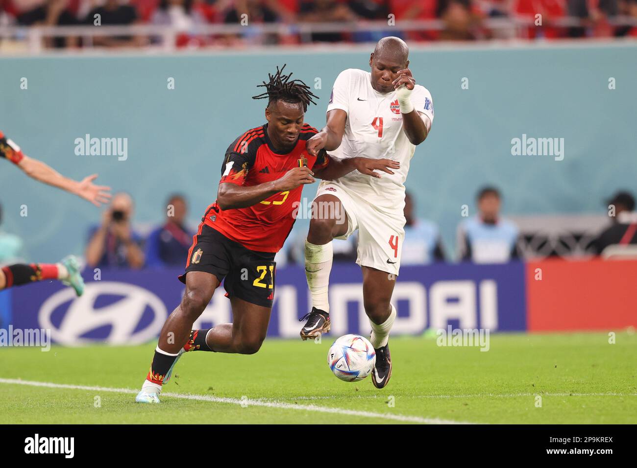 Michy Batshuayi of Belgium (L) and Kamal Miller of Canada (R) in action during the FIFA World Cup Qatar 2022, Match between Belgium and Canada at Ahmad Bin Ali Stadium. Final score; Belgium 1:0 Canada. Stock Photo
