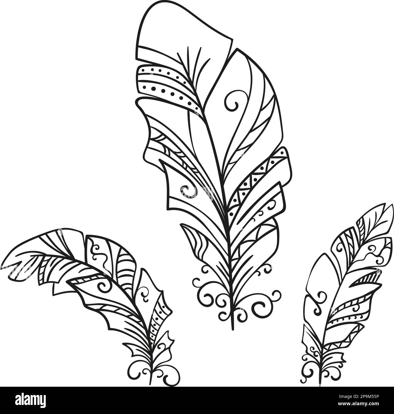 Hand drawn decorative feathers closeup isolated on white background