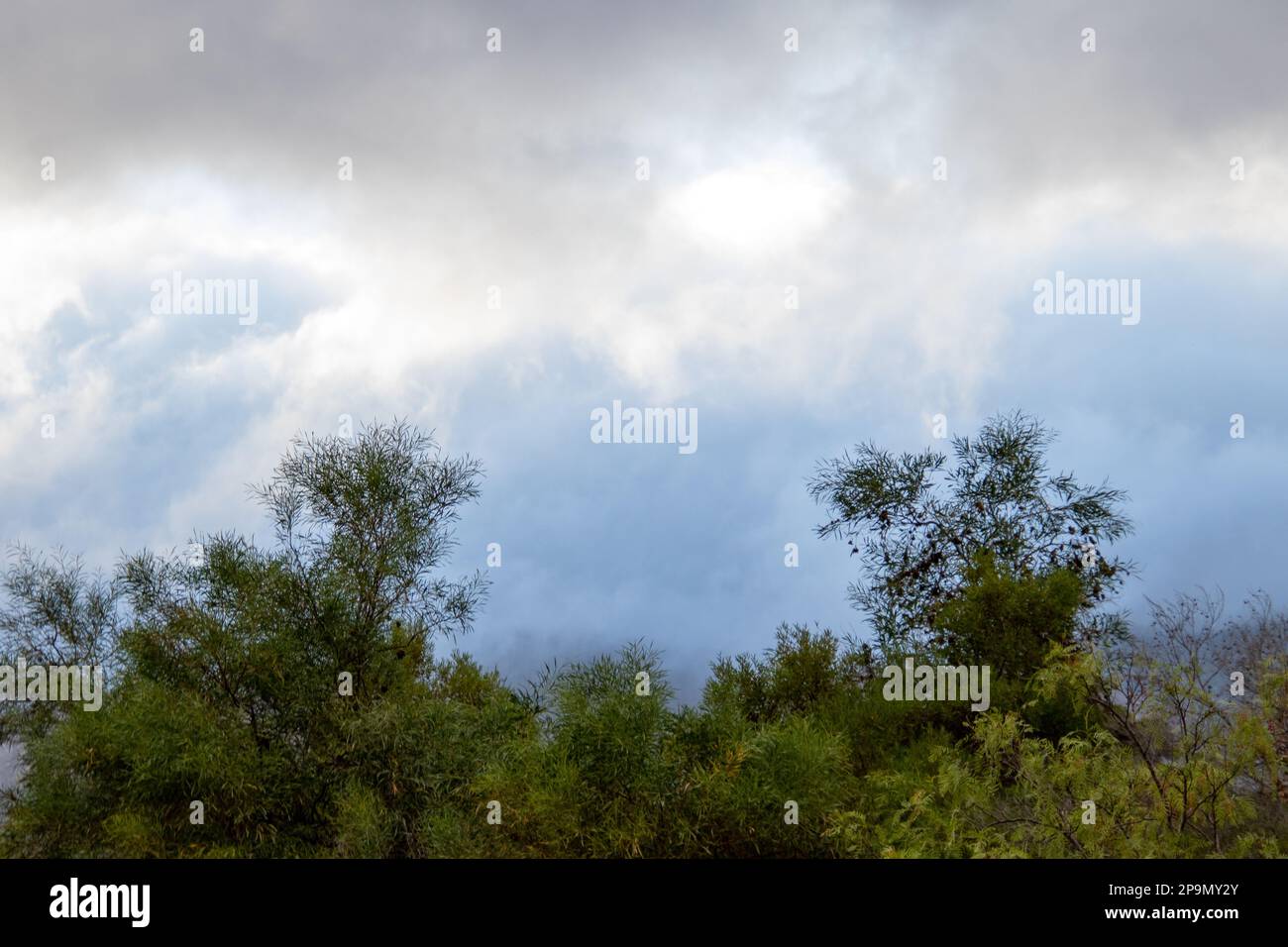 Cloudy sky above green trees on a hillside Stock Photo - Alamy