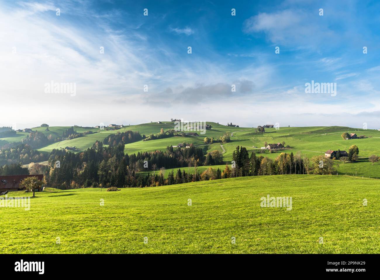 Hilly landscape with farmhouses and green meadows in Appenzellerland, Canton Appenzell Innerrhoden, Switzerland Stock Photo