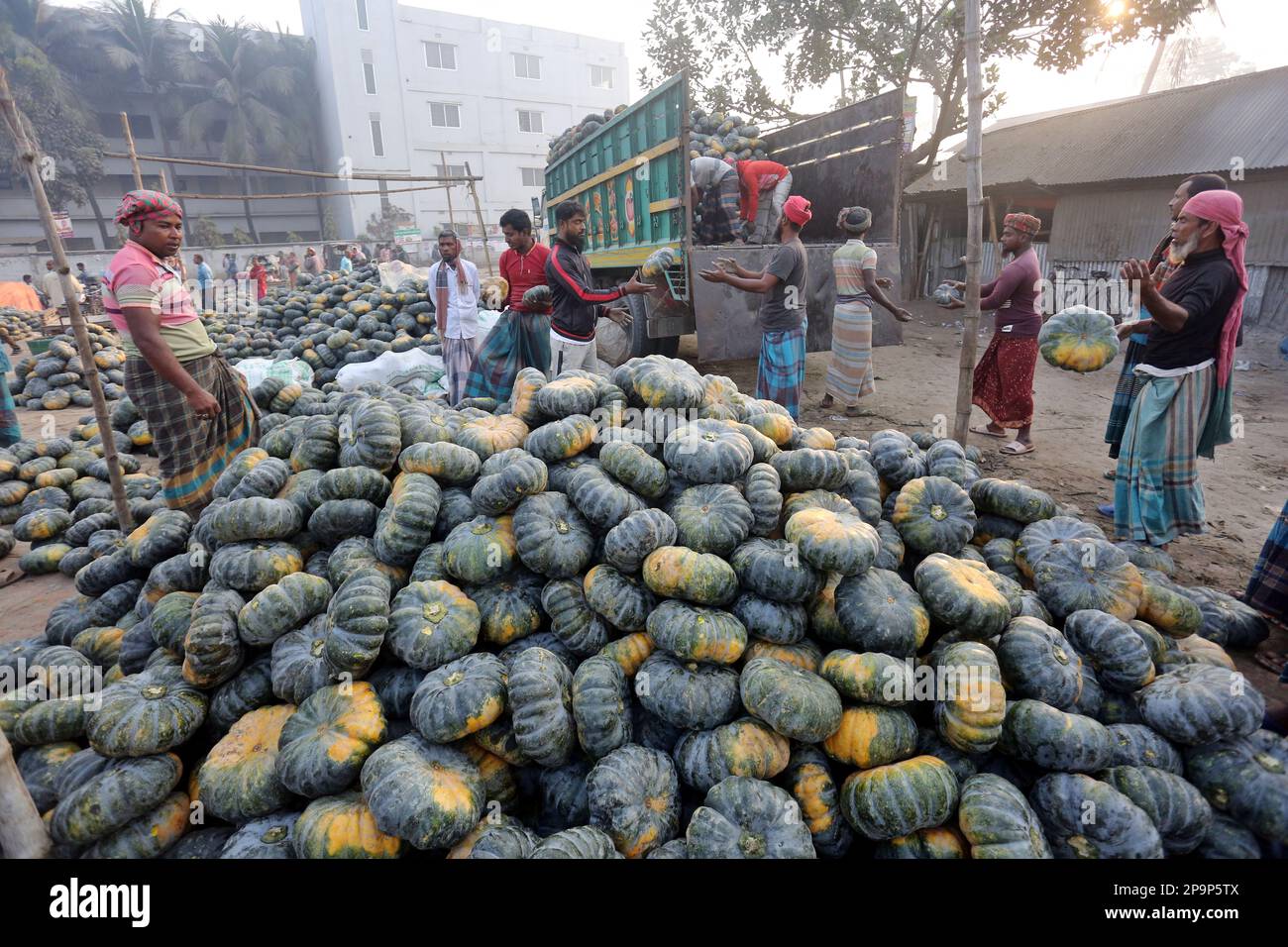 Dhaka, Bangladesh. 26th Feb, 2023. Pumpkin wholesale market in Bogura