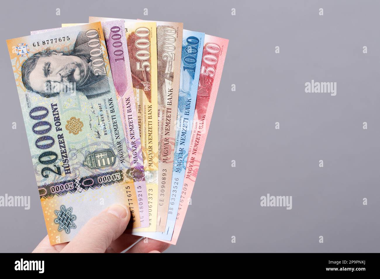Hungarian money - Forints on a gray background Stock Photo - Alamy