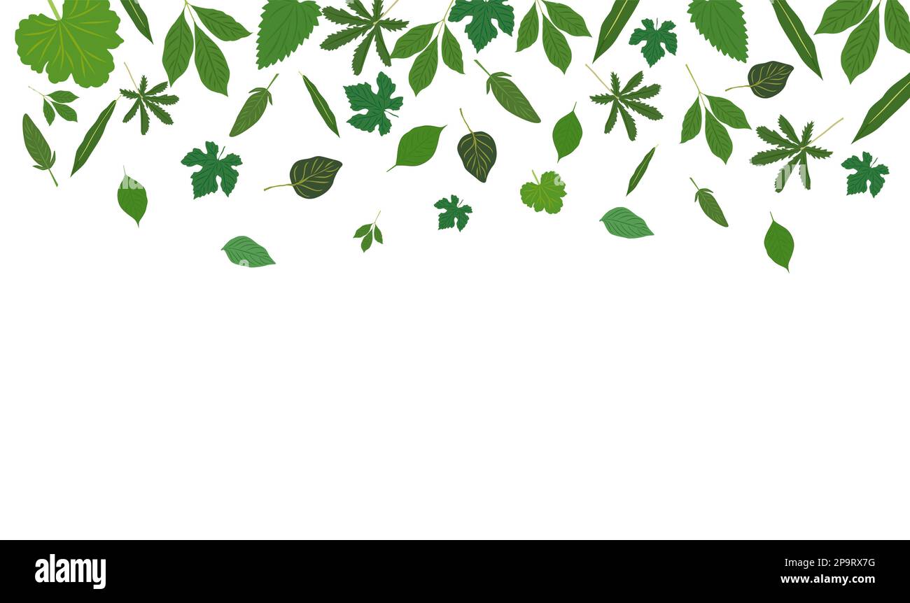 Spring background green leaves Stock Vector Images - Alamy
