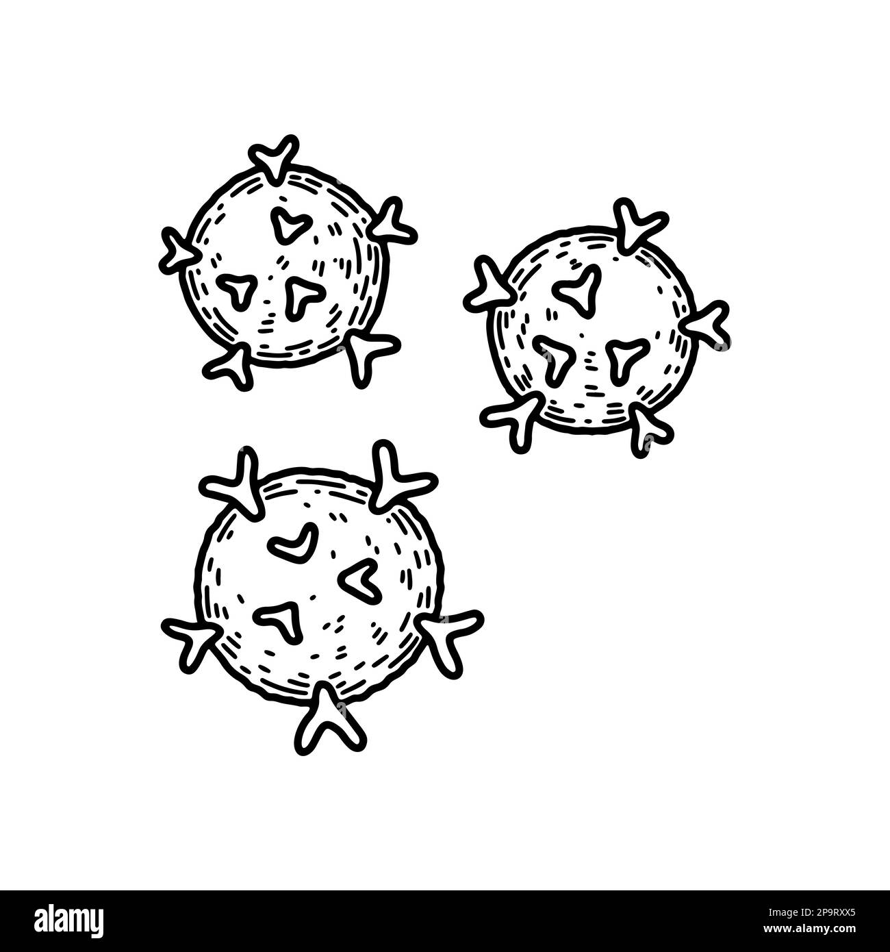 T-killer cells isolated on white background. Hand drawn scientific microbiology vector illustration in sketch style. Adaptive immune system Stock Vector