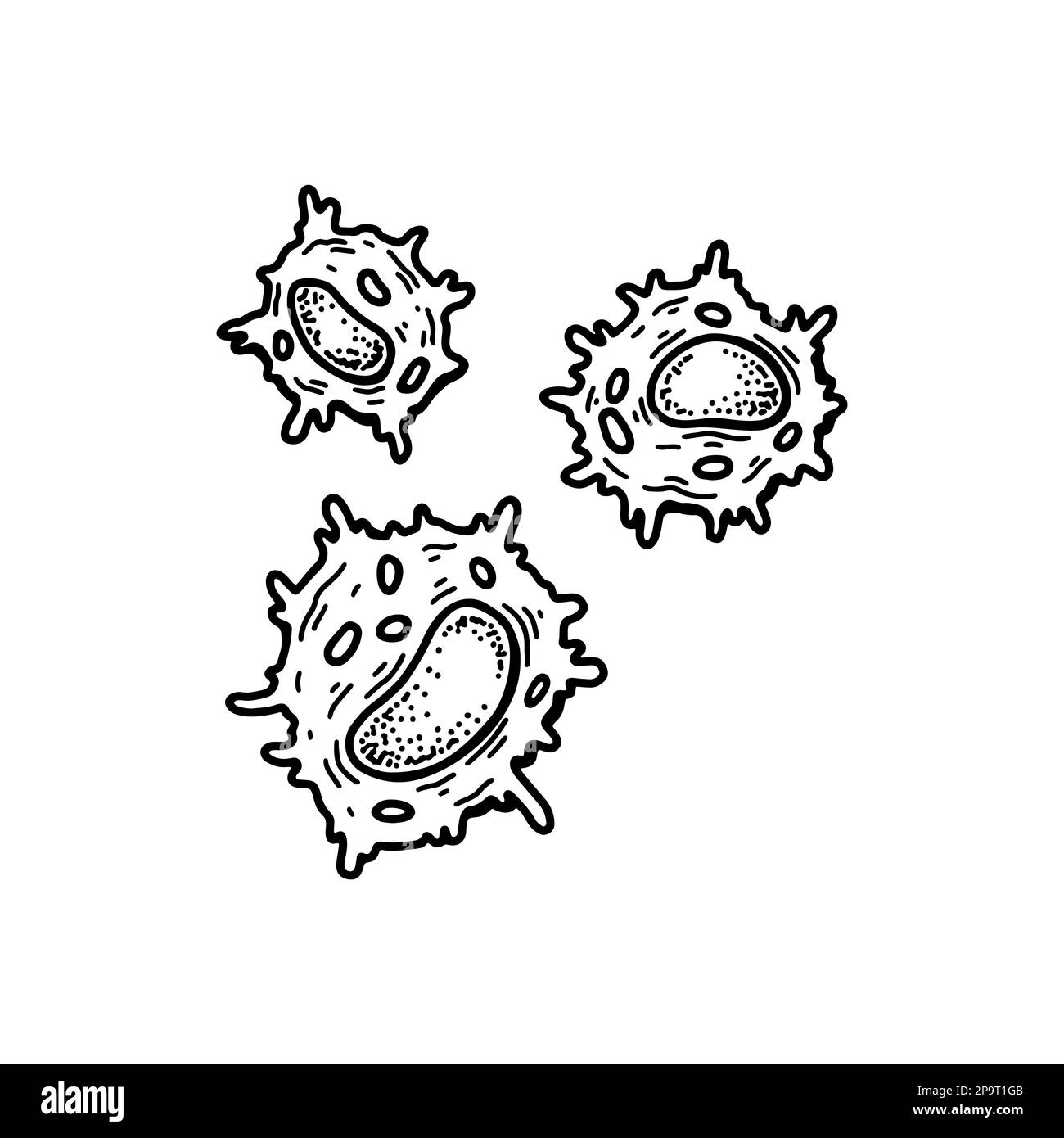 Natural killer cell isolated on white background. Hand drawn scientific microbiology vector illustration in sketch style. Adaptive immune system Stock Vector
